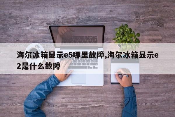 海尔冰箱显示e5哪里故障,海尔冰箱显示e2是什么故障