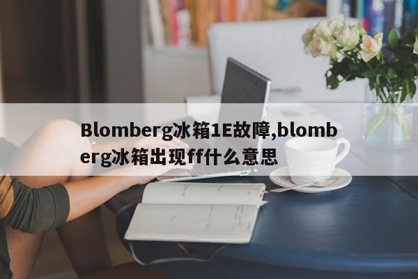 Blomberg冰箱1E故障,blomberg冰箱出现ff什么意思