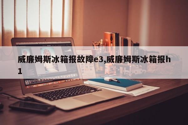 威廉姆斯冰箱报故障e3,威廉姆斯冰箱报h1