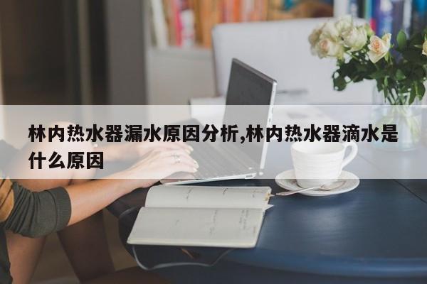 林内热水器漏水原因分析,林内热水器滴水是什么原因