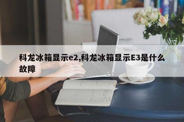 科龙冰箱显示e2,科龙冰箱显示E3是什么故障