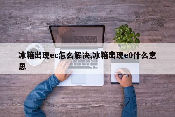 冰箱出现ec怎么解决,冰箱出现e0什么意思