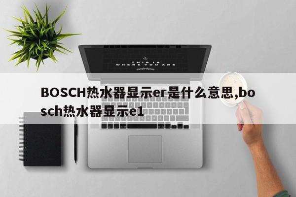 BOSCH热水器显示er是什么意思,bosch热水器显示e1