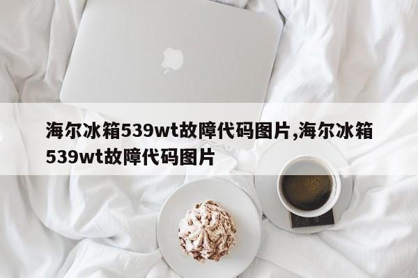 海尔冰箱539wt故障代码图片,海尔冰箱539wt故障代码图片