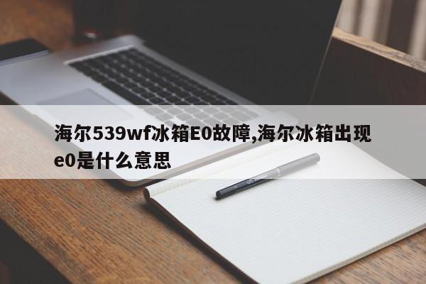 海尔539wf冰箱E0故障,海尔冰箱出现e0是什么意思