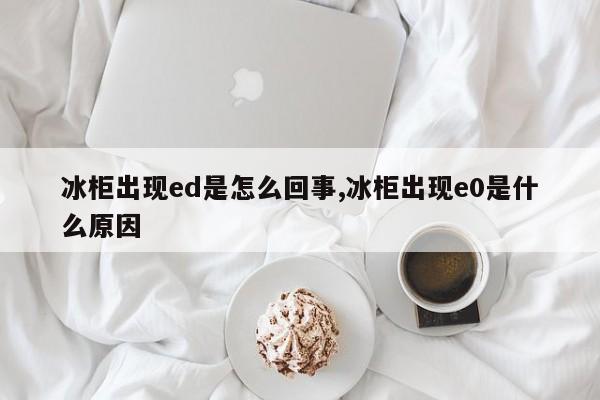 冰柜出现ed是怎么回事,冰柜出现e0是什么原因