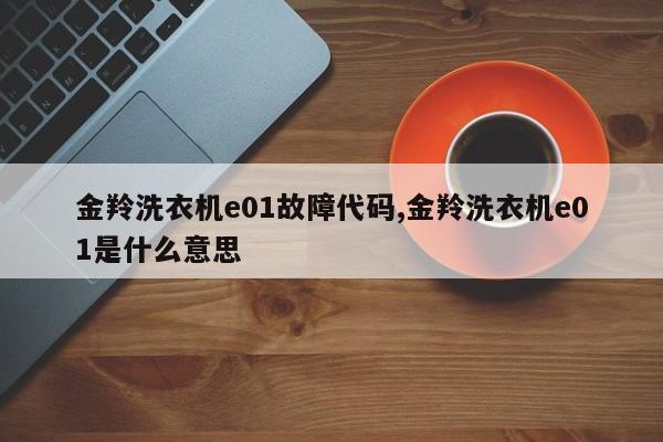 金羚洗衣机e01故障代码,金羚洗衣机e01是什么意思