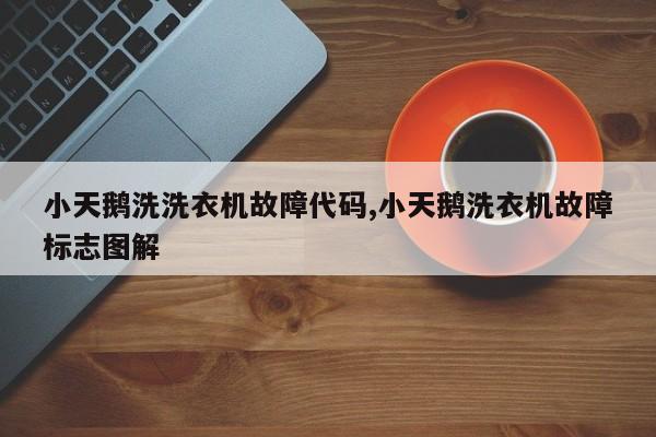 小天鹅洗洗衣机故障代码,小天鹅洗衣机故障标志图解