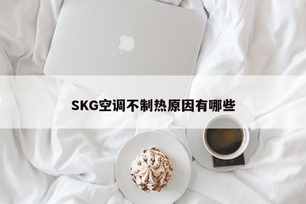 SKG空调不制热原因有哪些