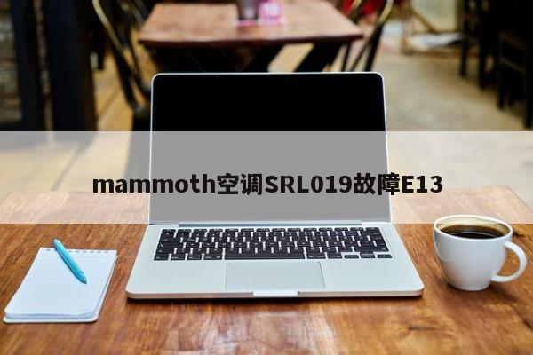 mammoth空调SRL019故障E13