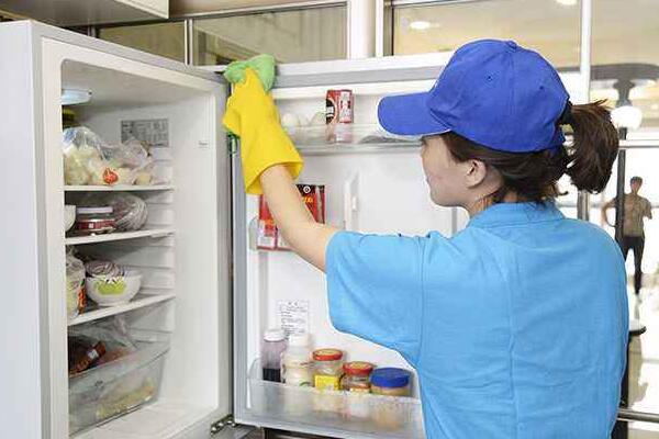 什么家用冰箱质量最好又省电全面比较与解析,该如何解决