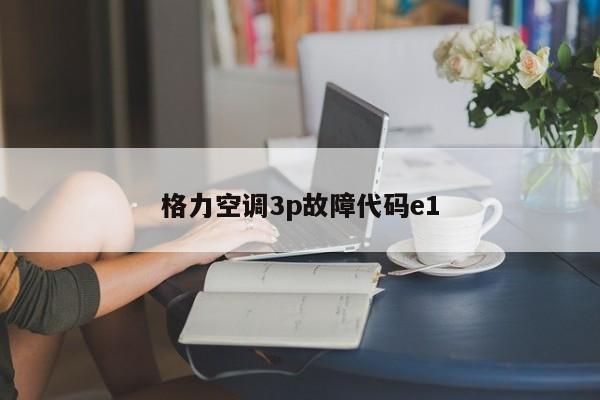 格力空调3p故障代码e1