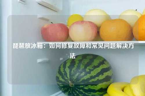  琵琶放冰箱：如何修复故障和常见问题解决方法