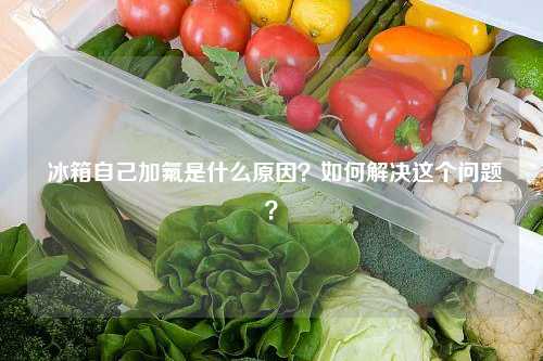  冰箱自己加氟是什么原因？如何解决这个问题？