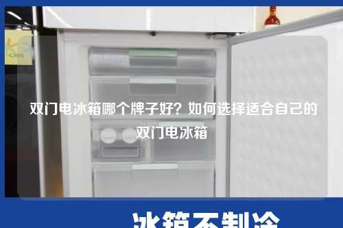  双门电冰箱哪个牌子好？如何选择适合自己的双门电冰箱