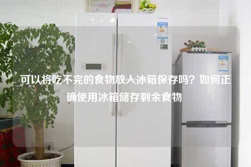 可以将吃不完的食物放入冰箱保存吗？如何正确使用冰箱储存剩余食物 