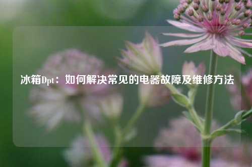  冰箱Dpt：如何解决常见的电器故障及维修方法