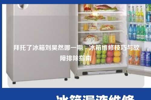  拜托了冰箱刘昊然哪一期 - 冰箱维修技巧与故障排除指南