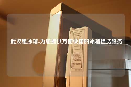  武汉租冰箱-为您提供方便快捷的冰箱租赁服务