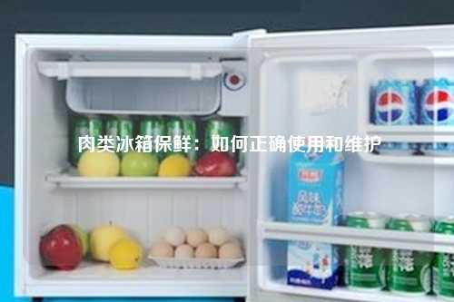  肉类冰箱保鲜：如何正确使用和维护