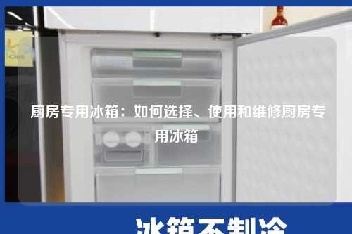  厨房专用冰箱：如何选择、使用和维修厨房专用冰箱