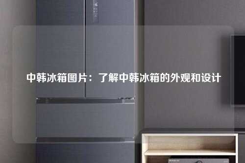  中韩冰箱图片：了解中韩冰箱的外观和设计