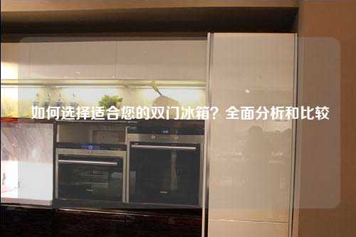  如何选择适合您的双门冰箱？全面分析和比较