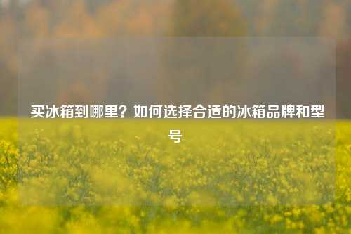  买冰箱到哪里？如何选择合适的冰箱品牌和型号