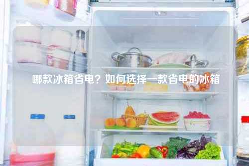  哪款冰箱省电？如何选择一款省电的冰箱