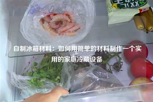  自制冰箱材料：如何用简单的材料制作一个实用的家庭冷藏设备