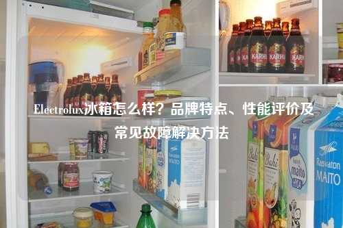  Electrolux冰箱怎么样？品牌特点、性能评价及常见故障解决方法