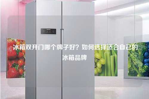  冰箱双开门哪个牌子好？如何选择适合自己的冰箱品牌