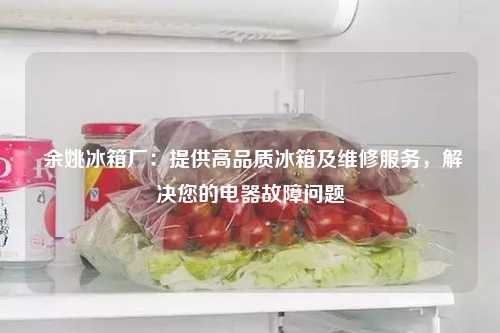  余姚冰箱厂：提供高品质冰箱及维修服务，解决您的电器故障问题