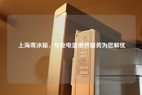  上海寄冰箱，专业电器维修服务为您解忧