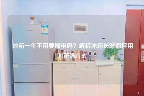  冰箱一年不用要断电吗？解析冰箱长时间停用的正确方式