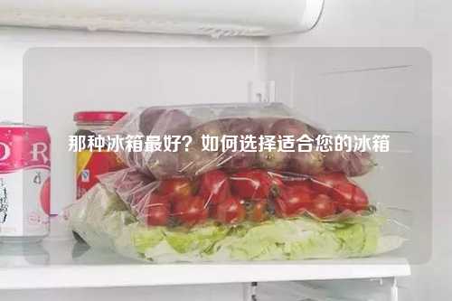  那种冰箱最好？如何选择适合您的冰箱