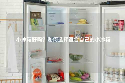  小冰箱好吗？如何选择适合自己的小冰箱