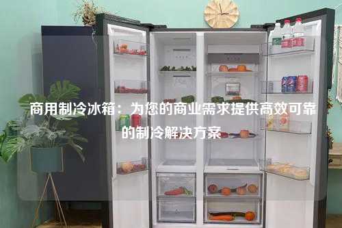  商用制冷冰箱：为您的商业需求提供高效可靠的制冷解决方案