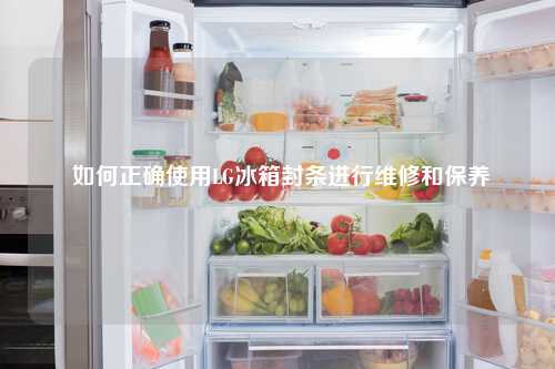  如何正确使用LG冰箱封条进行维修和保养
