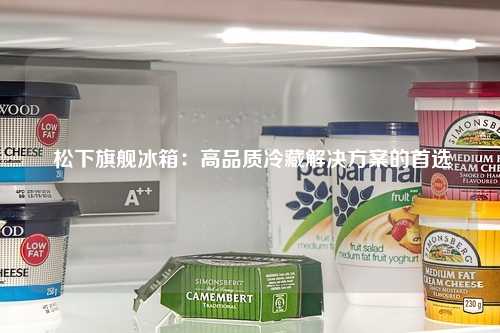  松下旗舰冰箱：高品质冷藏解决方案的首选