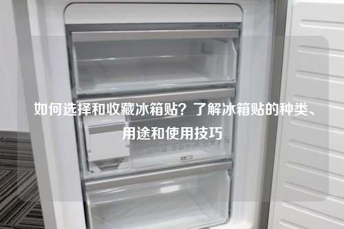  如何选择和收藏冰箱贴？了解冰箱贴的种类、用途和使用技巧