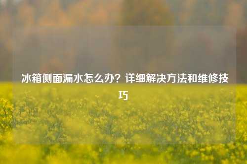  冰箱侧面漏水怎么办？详细解决方法和维修技巧