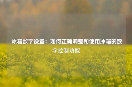  冰箱数字设置：如何正确调整和使用冰箱的数字控制功能