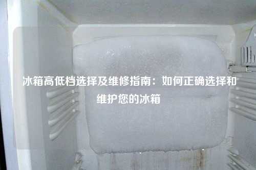  冰箱高低档选择及维修指南：如何正确选择和维护您的冰箱