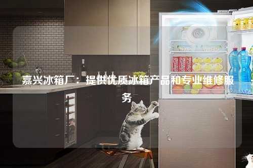  嘉兴冰箱厂：提供优质冰箱产品和专业维修服务