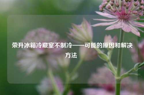 荣升冰箱冷藏室不制冷——可能的原因和解决方法 