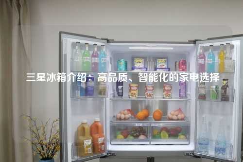  三星冰箱介绍：高品质、智能化的家电选择