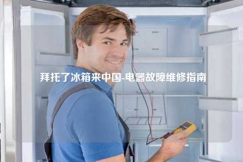  拜托了冰箱来中国-电器故障维修指南
