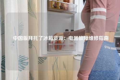  中国版拜托了冰箱资源：电器故障维修指南