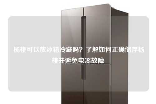  杨桃可以放冰箱冷藏吗？了解如何正确储存杨桃并避免电器故障